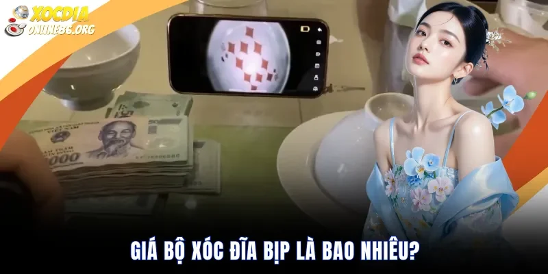 Giá Bộ Xóc Đĩa Bịp Là Bao Nhiêu