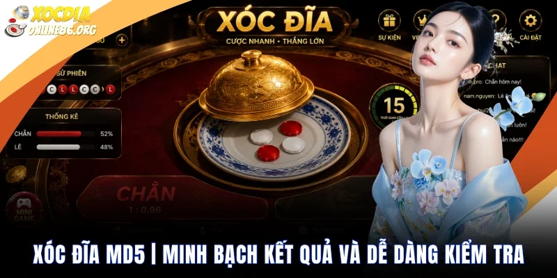 Xóc đĩa MD5