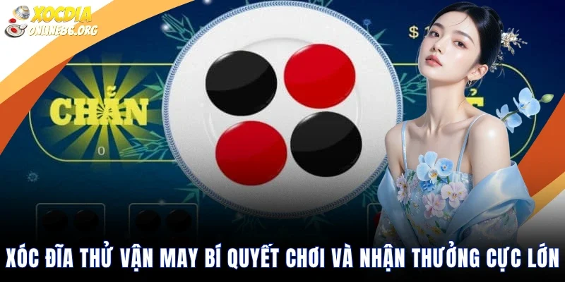 Xóc đĩa thử vận may